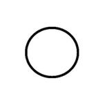 O-Ring schwarz - ABW18